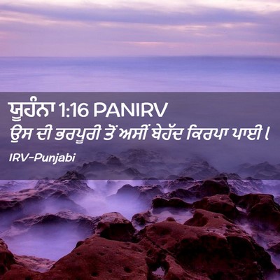 Picture 02 - ਯੂਹੰਨਾ 1:16 PANIRV - ਉਸ ਦੀ ਭਰਪੂਰੀ ਤੋਂ - Bible Verse Picture