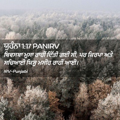 Picture 02 - ਯੂਹੰਨਾ 1:17 PANIRV - ਬਿਵਸਥਾ ਮੂਸਾ ਰਾਹੀਂ - Bible Verse Picture