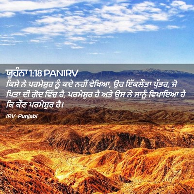 Picture 02 - ਯੂਹੰਨਾ 1:18 PANIRV - ਕਿਸੇ ਨੇ ਪਰਮੇਸ਼ੁਰ - Bible Verse Picture