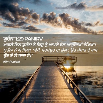 Picture 02 - ਯੂਹੰਨਾ 1:29 PANIRV - ਅਗਲੇ ਦਿਨ ਯੂਹੰਨਾ ਨੇ - Bible Verse Picture