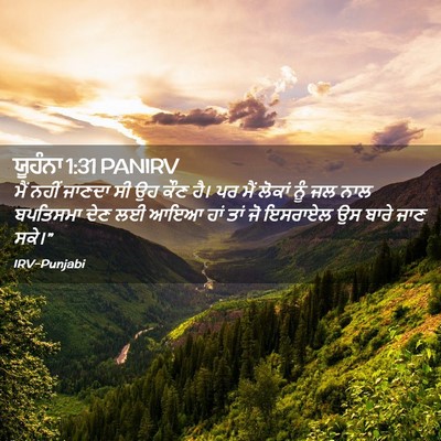 Picture 02 - ਯੂਹੰਨਾ 1:31 PANIRV - ਮੈਂ ਨਹੀਂ ਜਾਣਦਾ ਸੀ - Bible Verse Picture
