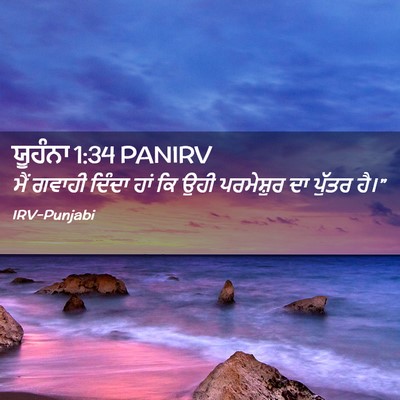 Picture 02 - ਯੂਹੰਨਾ 1:34 PANIRV - ਮੈਂ ਗਵਾਹੀ ਦਿੰਦਾ - Bible Verse Picture