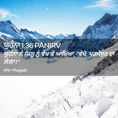 Picture 02 - ਯੂਹੰਨਾ 1:36 PANIRV - ਯੂਹੰਨਾ ਨੇ ਯਿਸੂ ਨੂੰ - Bible Verse Picture