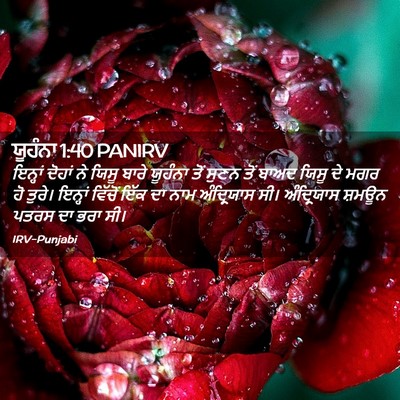 Picture 02 - ਯੂਹੰਨਾ 1:40 PANIRV - ਇਨ੍ਹਾਂ ਦੋਹਾਂ ਨੇ - Bible Verse Picture