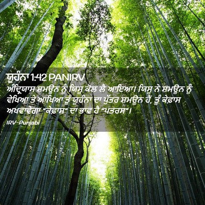 Picture 02 - ਯੂਹੰਨਾ 1:42 PANIRV - ਅੰਦ੍ਰਿਯਾਸ ਸ਼ਮਊਨ - Bible Verse Picture
