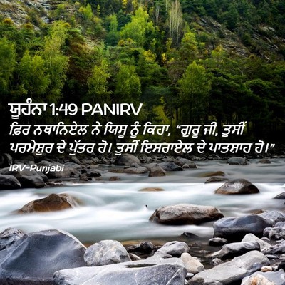 Picture 02 - ਯੂਹੰਨਾ 1:49 PANIRV - ਫ਼ਿਰ ਨਥਾਨਿਏਲ ਨੇ - Bible Verse Picture