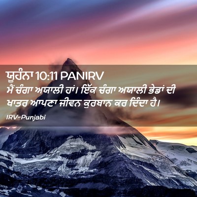 Picture 02 - ਯੂਹੰਨਾ 10:11 PANIRV - ਮੈਂ ਚੰਗਾ ਅਯਾਲੀ - Bible Verse Picture