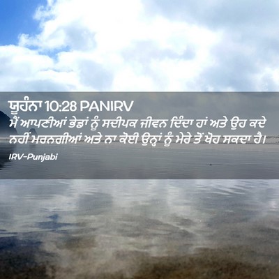 Picture 02 - ਯੂਹੰਨਾ 10:28 PANIRV - ਮੈਂ ਆਪਣੀਆਂ ਭੇਡਾਂ - Bible Verse Picture