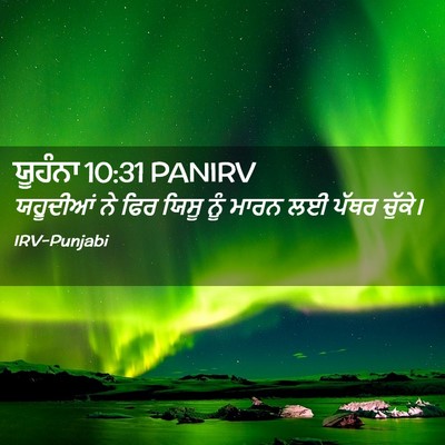 Picture 02 - ਯੂਹੰਨਾ 10:31 PANIRV - ਯਹੂਦੀਆਂ ਨੇ ਫਿਰ - Bible Verse Picture