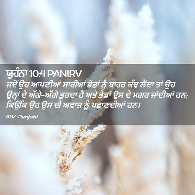 Picture 02 - ਯੂਹੰਨਾ 10:4 PANIRV - ਜਦੋਂ ਉਹ ਆਪਣੀਆਂ - Bible Verse Picture