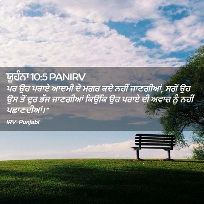 Picture 02 - ਯੂਹੰਨਾ 10:5 PANIRV - ਪਰ ਉਹ ਪਰਾਏ ਆਦਮੀ ਦੇ - Bible Verse Picture