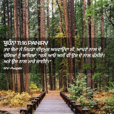 Picture 02 - ਯੂਹੰਨਾ 11:16 PANIRV - ਤਦ ਥੋਮਾ ਨੇ ਜਿਹੜਾ - Bible Verse Picture