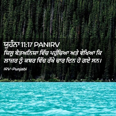 Picture 02 - ਯੂਹੰਨਾ 11:17 PANIRV - ਯਿਸੂ ਬੈਤਅਨਿਯਾ - Bible Verse Picture