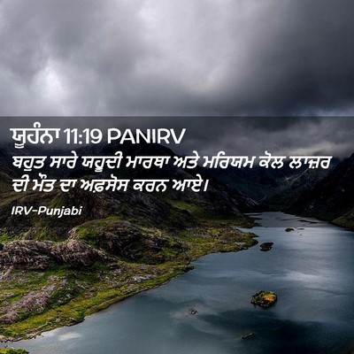 Picture 02 - ਯੂਹੰਨਾ 11:19 PANIRV - ਬਹੁਤ ਸਾਰੇ ਯਹੂਦੀ - Bible Verse Picture