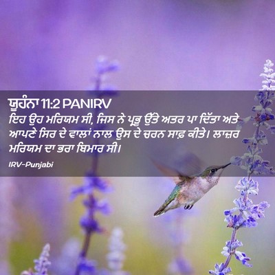 Picture 02 - ਯੂਹੰਨਾ 11:2 PANIRV - ਇਹ ਉਹ ਮਰਿਯਮ ਸੀ, ਜਿਸ - Bible Verse Picture