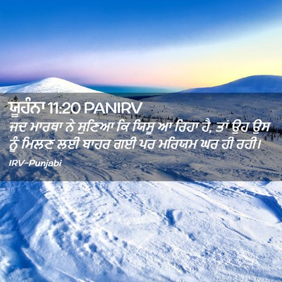 Picture 02 - ਯੂਹੰਨਾ 11:20 PANIRV - ਜਦ ਮਾਰਥਾ ਨੇ ਸੁਣਿਆ - Bible Verse Picture