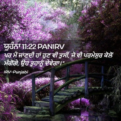 Picture 02 - ਯੂਹੰਨਾ 11:22 PANIRV - ਪਰ ਮੈਂ ਜਾਣਦੀ ਹਾਂ - Bible Verse Picture