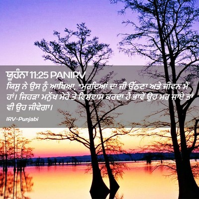 Picture 02 - ਯੂਹੰਨਾ 11:25 PANIRV - ਯਿਸੂ ਨੇ ਉਸ ਨੂੰ - Bible Verse Picture