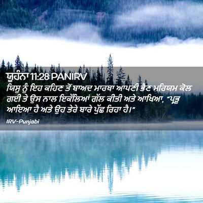 Picture 02 - ਯੂਹੰਨਾ 11:28 PANIRV - ਯਿਸੂ ਨੂੰ ਇਹ ਕਹਿਣ - Bible Verse Picture