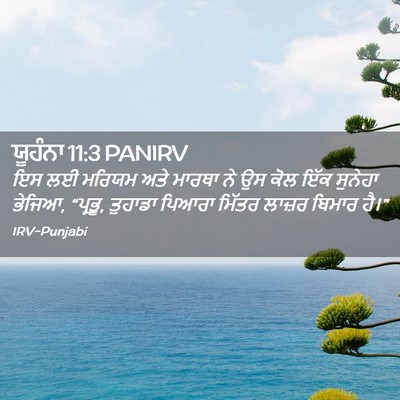 Picture 02 - ਯੂਹੰਨਾ 11:3 PANIRV - ਇਸ ਲਈ ਮਰਿਯਮ ਅਤੇ - Bible Verse Picture