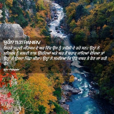 Picture 02 - ਯੂਹੰਨਾ 11:31 PANIRV - ਜਿਹੜੇ ਯਹੂਦੀ ਮਰਿਯਮ - Bible Verse Picture