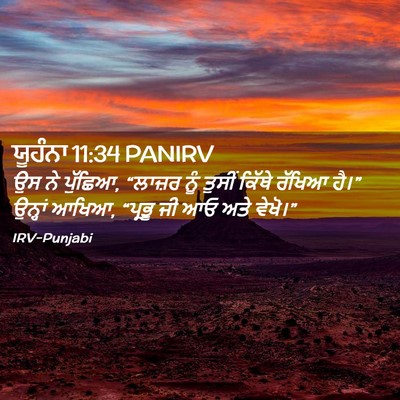 Picture 02 - ਯੂਹੰਨਾ 11:34 PANIRV - ਉਸ ਨੇ ਪੁੱਛਿਆ, - Bible Verse Picture