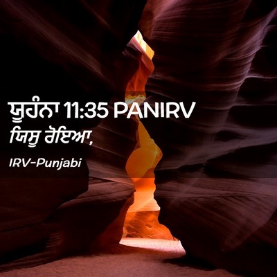 Picture 02 - ਯੂਹੰਨਾ 11:35 PANIRV - ਯਿਸੂ - Bible Verse Picture