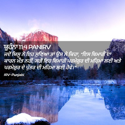 Picture 02 - ਯੂਹੰਨਾ 11:4 PANIRV - ਜਦੋਂ ਯਿਸੂ ਨੇ ਇਹ - Bible Verse Picture
