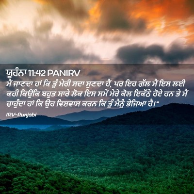 Picture 02 - ਯੂਹੰਨਾ 11:42 PANIRV - ਮੈਂ ਜਾਣਦਾ ਹਾਂ ਕਿ - Bible Verse Picture