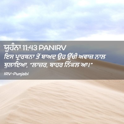 Picture 02 - ਯੂਹੰਨਾ 11:43 PANIRV - ਇਸ ਪ੍ਰਾਰਥਨਾ ਤੋਂ - Bible Verse Picture