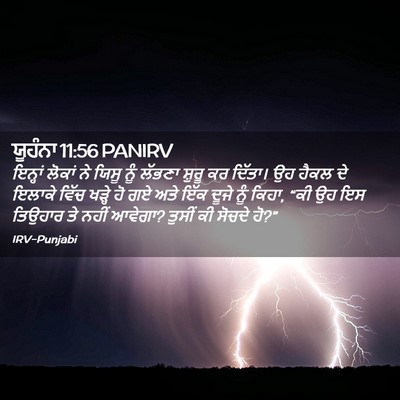 Picture 02 - ਯੂਹੰਨਾ 11:56 PANIRV - ਇਨ੍ਹਾਂ ਲੋਕਾਂ ਨੇ - Bible Verse Picture