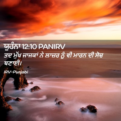 Picture 02 - ਯੂਹੰਨਾ 12:10 PANIRV - ਤਦ ਮੁੱਖ ਜਾਜਕਾਂ ਨੇ - Bible Verse Picture