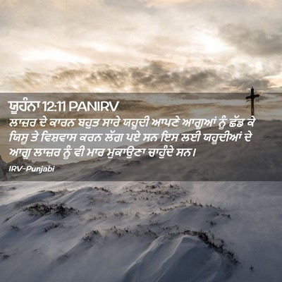 Picture 02 - ਯੂਹੰਨਾ 12:11 PANIRV - ਲਾਜ਼ਰ ਦੇ ਕਾਰਨ ਬਹੁਤ - Bible Verse Picture