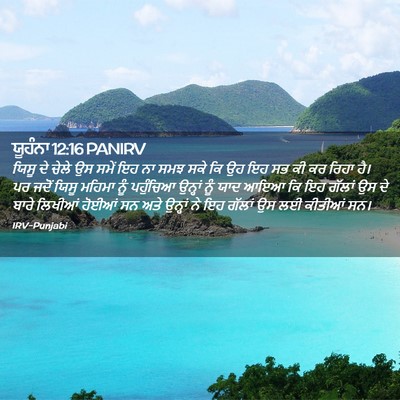 Picture 02 - ਯੂਹੰਨਾ 12:16 PANIRV - ਯਿਸੂ ਦੇ ਚੇਲੇ ਉਸ - Bible Verse Picture