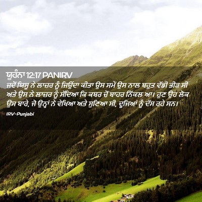 Picture 02 - ਯੂਹੰਨਾ 12:17 PANIRV - ਜਦੋਂ ਯਿਸੂ ਨੇ ਲਾਜ਼ਰ - Bible Verse Picture
