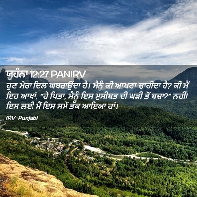 Picture 02 - ਯੂਹੰਨਾ 12:27 PANIRV - ਹੁਣ ਮੇਰਾ ਦਿਲ - Bible Verse Picture