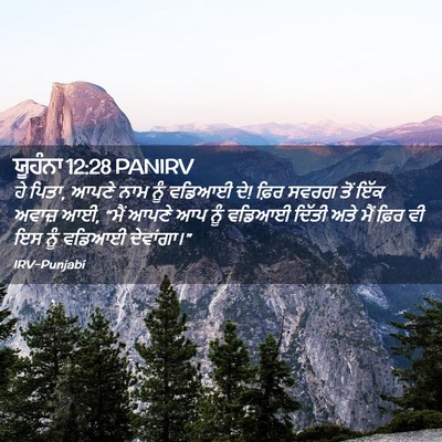 Picture 02 - ਯੂਹੰਨਾ 12:28 PANIRV - ਹੇ ਪਿਤਾ, ਆਪਣੇ ਨਾਮ - Bible Verse Picture