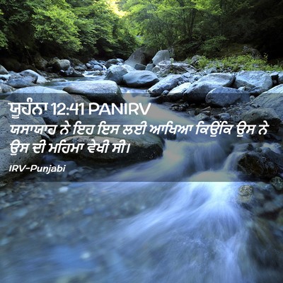 Picture 02 - ਯੂਹੰਨਾ 12:41 PANIRV - ਯਸਾਯਾਹ ਨੇ ਇਹ ਇਸ ਲਈ - Bible Verse Picture