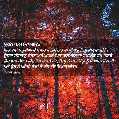 Picture 02 - ਯੂਹੰਨਾ 13:1 PANIRV - ਇਹ ਸਮਾਂ ਯਹੂਦੀਆਂ ਦੇ - Bible Verse Picture
