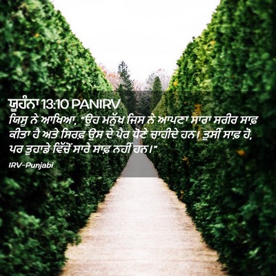 Picture 02 - ਯੂਹੰਨਾ 13:10 PANIRV - ਯਿਸੂ ਨੇ ਆਖਿਆ, “ਉਹ - Bible Verse Picture