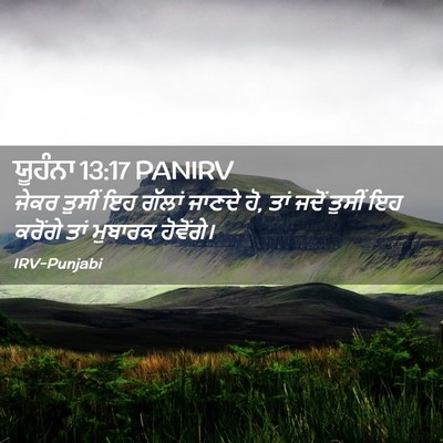 Picture 02 - ਯੂਹੰਨਾ 13:17 PANIRV - ਜੇਕਰ ਤੁਸੀਂ ਇਹ - Bible Verse Picture