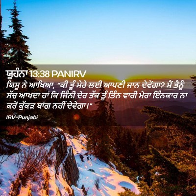 Picture 02 - ਯੂਹੰਨਾ 13:38 PANIRV - ਯਿਸੂ ਨੇ ਆਖਿਆ, “ਕੀ - Bible Verse Picture
