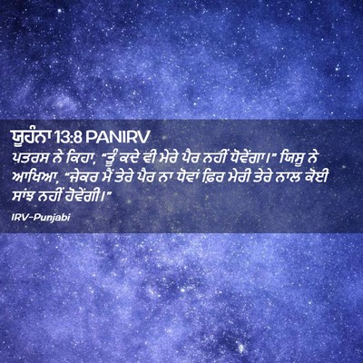 Picture 02 - ਯੂਹੰਨਾ 13:8 PANIRV - ਪਤਰਸ ਨੇ ਕਿਹਾ, “ਤੂੰ - Bible Verse Picture