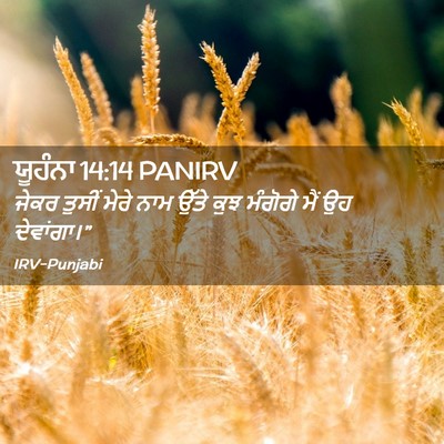 Picture 02 - ਯੂਹੰਨਾ 14:14 PANIRV - ਜੇਕਰ ਤੁਸੀਂ ਮੇਰੇ - Bible Verse Picture