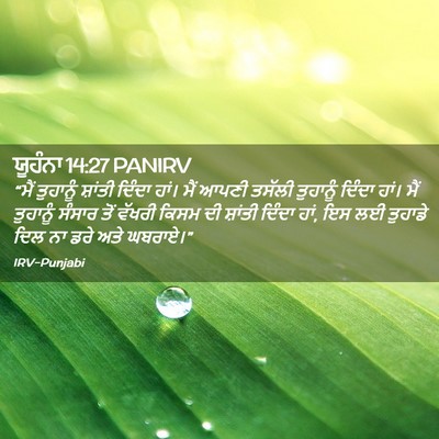 Picture 02 - ਯੂਹੰਨਾ 14:27 PANIRV - “ਮੈਂ ਤੁਹਾਨੂੰ - Bible Verse Picture