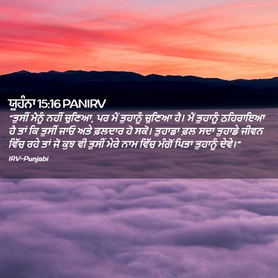 Picture 02 - ਯੂਹੰਨਾ 15:16 PANIRV - “ਤੁਸੀਂ ਮੈਨੂੰ ਨਹੀਂ - Bible Verse Picture