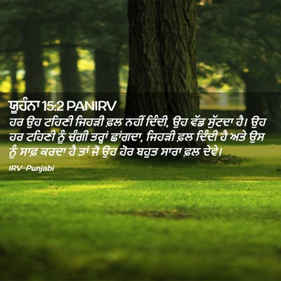 Picture 02 - ਯੂਹੰਨਾ 15:2 PANIRV - ਹਰ ਉਹ ਟਹਿਣੀ ਜਿਹੜੀ - Bible Verse Picture