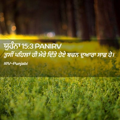 Picture 02 - ਯੂਹੰਨਾ 15:3 PANIRV - ਤੁਸੀਂ ਪਹਿਲਾਂ ਹੀ - Bible Verse Picture