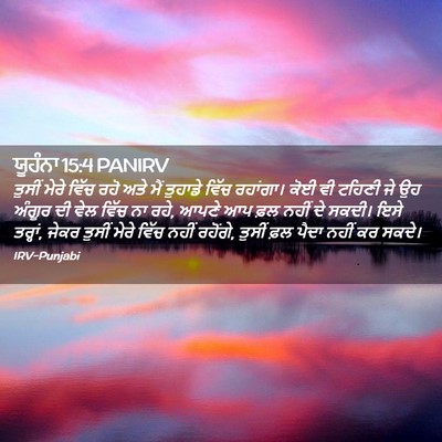 Picture 02 - ਯੂਹੰਨਾ 15:4 PANIRV - ਤੁਸੀਂ ਮੇਰੇ ਵਿੱਚ - Bible Verse Picture