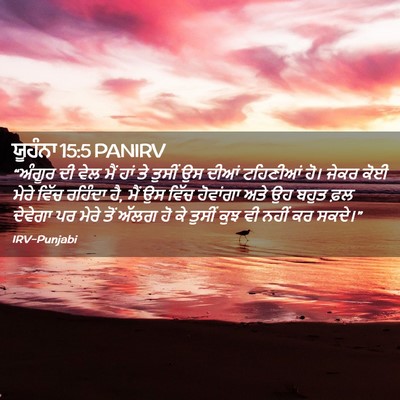 Picture 02 - ਯੂਹੰਨਾ 15:5 PANIRV - “ਅੰਗੂਰ ਦੀ ਵੇਲ ਮੈਂ - Bible Verse Picture